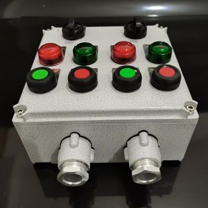 China Explosion-Proof Two-Button Operation Box Anti-Corrosive Power Distribution Equipment with Two Indicators on sale