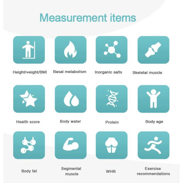 Physician Weight and Height Scale Body Composition Analysis Machine Body Composition Analyzer for Gym