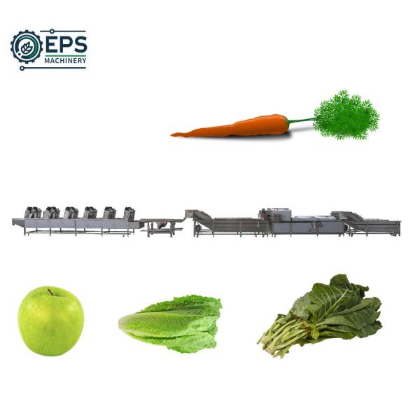Automatic High Pressure Fruit Vegetable Air Bubble Washing and Drying Processing
