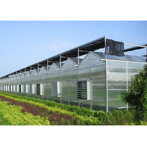 Buy cheap Steel Plastic Double Arch Beam Design Greenhouse For Vegetables from wholesalers