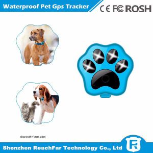 China Portable cheap smallest real time gps pet tracker with one year battery and voice monitoring on sale China Portable cheap smallest real time gps pet tracker with one year battery and voice monitoring on sale