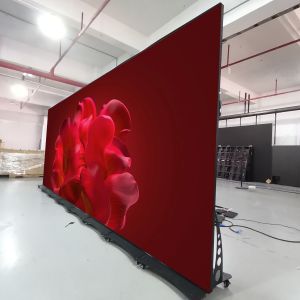 Digital Led Poster Screen 640x1920mm Standing Led Display