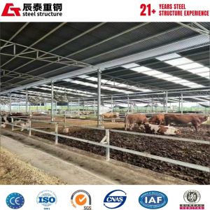Corrosion-resistant Q355B automated steel structure breeding farm construction