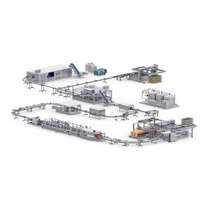 Automatic mango Fruit Juice Processing Line Fresh Fruit Complete Juice
