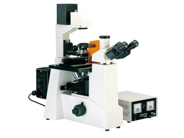 Quality XDY-1 Inverted And Reflected Fluorescence Microscope Long Working Distance for sale