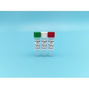 Buy cheap Reverse Transcriptase M-MLV RT Feline Pestivirus Antigen Rapid Test Kit from wholesalers