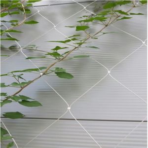 Buy cheap Stainless Steel Wire Rope Mesh Net As Architecture Plant Trellis product