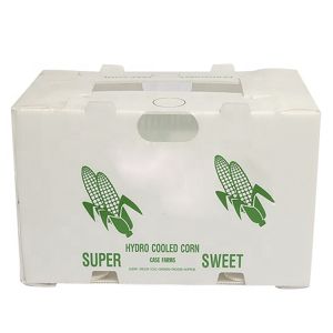OEM Broccoli Fruit Corrugated Boxes Corrugated Plastic Delivery Box