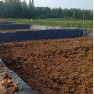 Buy cheap Double Texture HDPE Geomembrane 1mm for Waterproof Plastic Dam Liner Fish Pond Liner from wholesalers