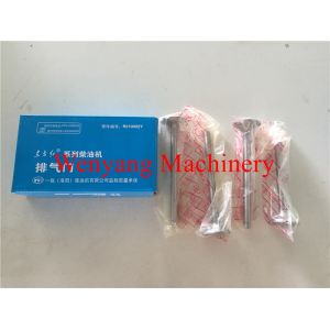 original YTO engine spare parts YTR4105 Inlet valve R010001Y for sale