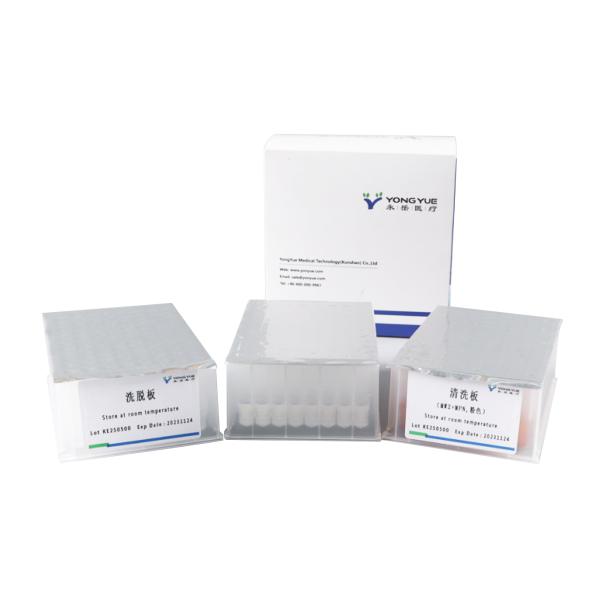 Quality Lab Use Pre Filled Nucleic Acid Extraction Purification Detection Kits for sale