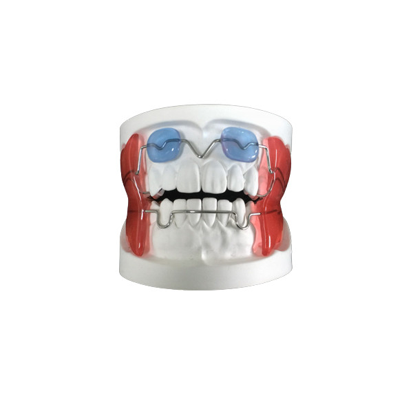 Buy cheap Fixed Appliance Dental Functional Appliance Good Fixation Adequate Anchorage from wholesalers