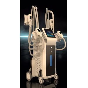 Buy cheap amazing effect distributors wanted slimming machine cryolipolysis 4 handles work at the same time from wholesalers