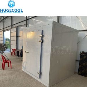 Buy cheap 2*2*3m Small Cold Storage Room with Walk-in Function and Freon Refrigerant Compressor from wholesalers