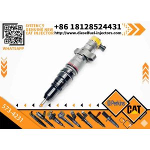 Buy cheap 1PCS Fuel injector 573-4231 For Caterpillar CAT C9 Engine D300GC D250GC XQP300 Generator Set D6R XL D6T D6R LGP D6R Excavator from wholesalers