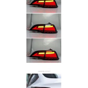 Buy cheap 2019- Model 3 Model Y Taillight Assembly Modification Phantom Led Rear Tail Light For Tesla from wholesalers