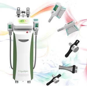 Buy cheap Fat Effective Cryolipolysis Slimming Machine / Cryolipolysis Equipment from wholesalers