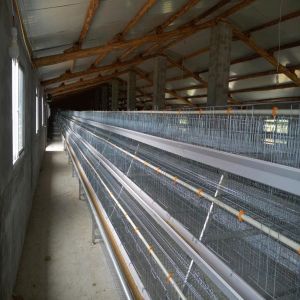 Buy cheap 4 Layers / Cell Chicken Poultry Cage Automatic Ventilation Cooling System from wholesalers