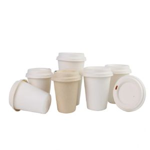 16oz Sustainable Disposable Sugarcane Bagasse Take Away Cups And Lids