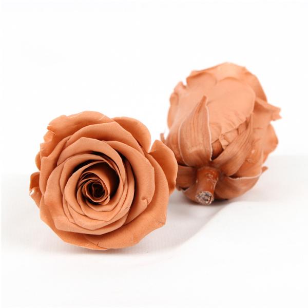 Quality Eco Friendly Diameter 5-6cm No Pollen Real Eternal Roses for sale