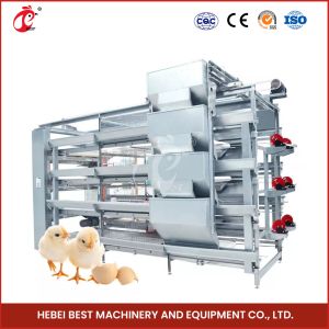 Buy cheap A H Type Full Automatic Brooder Chicken Cage System  Q235 Steel Rustproof Star from wholesalers
