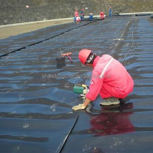 Double Texture HDPE Geomembrane Fish Pond Liner in 1m-8m Width for Performance