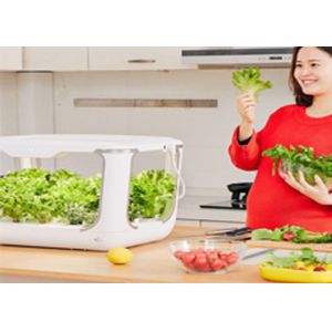 Buy cheap 24V 10W Light PVC Kitchen Hydroponic Growing Systems from wholesalers