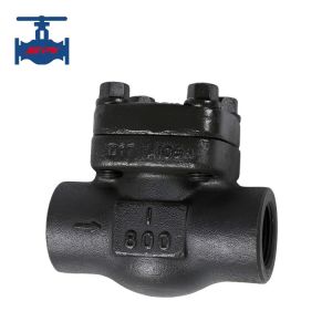 Buy cheap 800LB 403 Forbidden Check Valve with Security Measure Non-Return Valve for Preventing Unauthorized Access from wholesalers