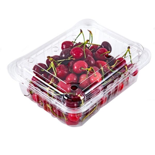 Pp Food Grade 1500ml Disposable Plastic Boxes