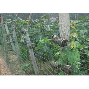 Buy cheap Holland Farm Mesh Fencing Plain Weave For Feeding Animal , Professional Customized from wholesalers