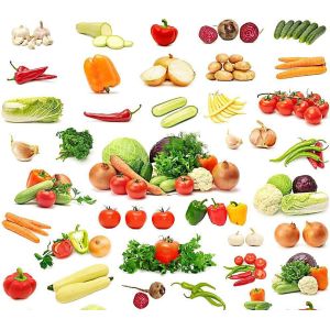 Buy cheap Commercial Fruit Vegetable Processing Machine Small Automatic  300-1000kg/h from wholesalers