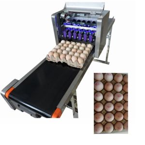 Buy cheap Convenient Moving Egg Code Printing Machine With Personalized Integration Frame from wholesalers