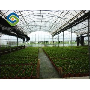 Buy cheap Arch Roof White 4m Polyethylene Film Greenhouse For Fruit from wholesalers