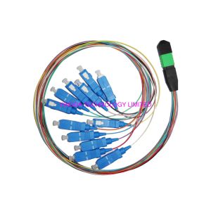 Buy cheap SC Hydra 12 Strand Fiber Cable Assembly MTP MPO Patch Cord For FTTX from wholesalers