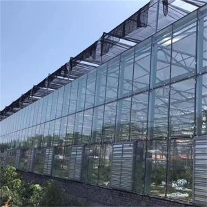 Buy cheap Glass Multi Span Greenhouse Tropical Solar Hydroponic Flower Vegetable Growing from wholesalers