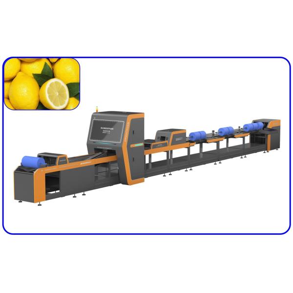 Quality High Speed Fruit Sorting System Intelligent 1 Channel Lemon Sorting Machine for sale