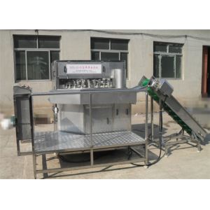 Buy cheap Apple Peeling Machine Fruit Canning Equipment Manual Feeding Custom Design from wholesalers