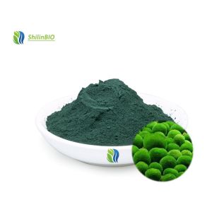 Buy cheap Chlorella Algae Powder 50%~60% Protein from wholesalers
