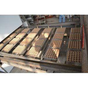 Pulp Molding 6*8 molds 5000-6000pcs / Hour Automatic Egg Tray Making Machine