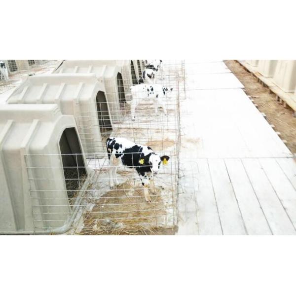 Quality 50kg PE Plastic Calf Shelters for sale