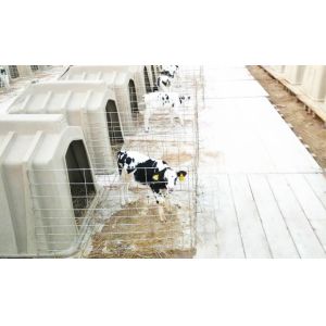 Buy cheap 50kg PE Plastic Calf Shelters from wholesalers