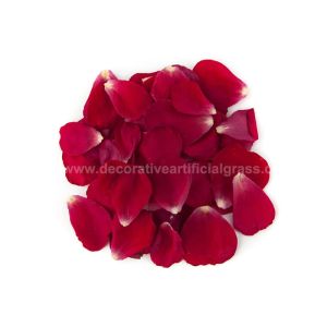 Dried Red Rose Petals For DIY Projects Biodegradable Confetti