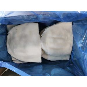 Buy cheap Authentic Chinese Fresh Frozen Squid For Seafood Lovers from wholesalers