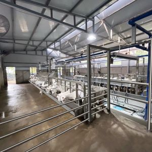 Buy cheap Digital Electric Meter Sheep Goat Milking Parlour New Condition Equipment from wholesalers