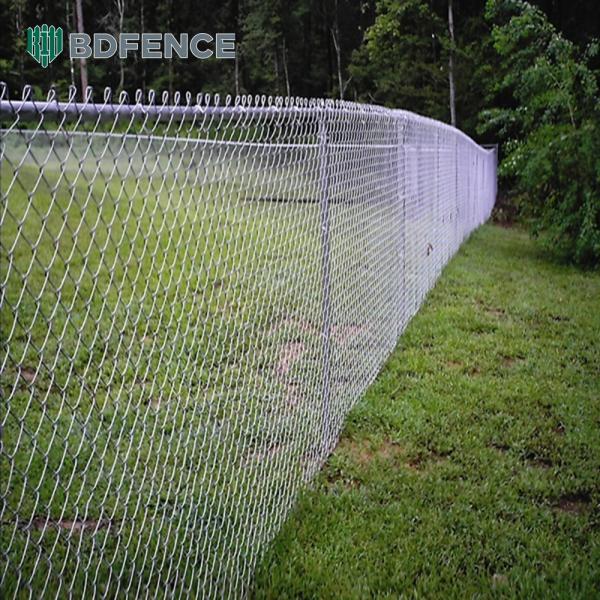 Quality Garden Border Chain Link Fence Rodent Barrier for sale