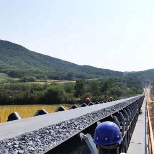 Buy cheap NN150 Burn Resistant NN Conveyor Belt 1100mm*6000mm from wholesalers