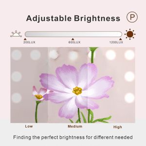 Buy cheap Elevate Your Beauty Routine with a Customizable Hollywood Mirror from wholesalers