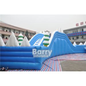 Customized Seals Tooth Inflatable Summer Blow Up Water Slides