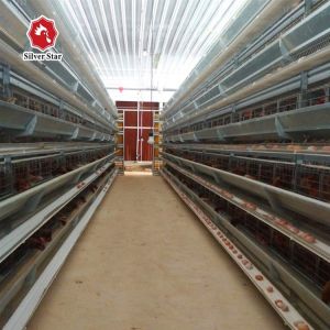 Buy cheap Galvanized Layer Chicken Cages Automatic H Type Poultry For Farming from wholesalers