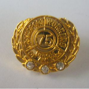 Gold / Silver / Nickel Plating Photo Engraving Lapel Pin Badge